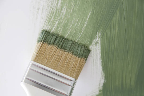 Eco-Friendly and Low-VOC Painting in South Miami, FL